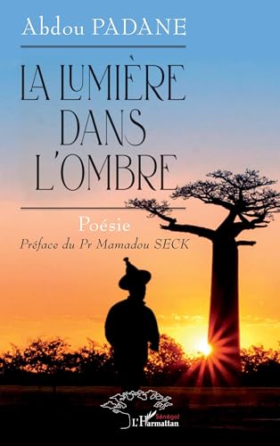 La lumière dans l'ombre La lumière dans l'ombre von Harmattan Sénégal
