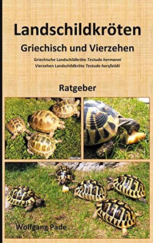 Landschildkröten Griechisch und Vierzehen von Books on Demand GmbH