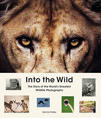 Into the Wild: The Story of the World's Greatest Wildlife Photography von Laurence King