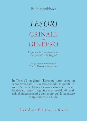 Tesori dal crinale del ginepro. Le profonde istruzioni-tesoro alla dākinī Yeshe Tsogyal (Civiltà dell'Oriente) von Astrolabio Ubaldini
