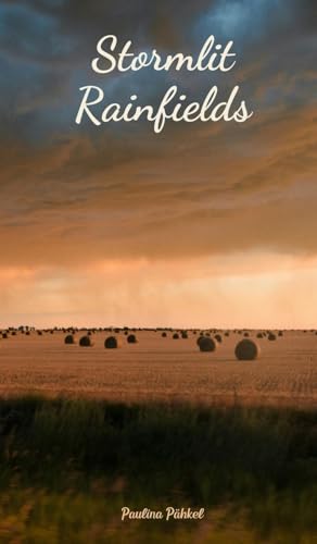 Stormlit Rainfields von Swan Charm Publishing
