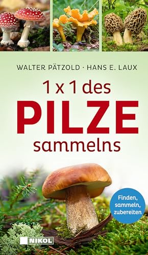 1 x 1 des Pilzesammelns: Finden, sammeln, zubereiten