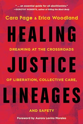 Healing Justice Lineages: Dreaming at the Crossroads of Liberation, Collective Care, and Safety von North Atlantic Books
