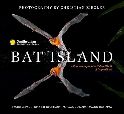 Bat Island: A Rare Journey into the Hidden World of Tropical Bats
