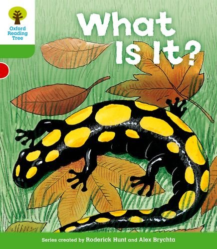 Oxford Reading Tree: Level 2: More Patterned Stories A: What Is It?