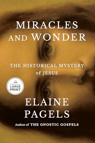 Miracles and Wonder: The Historical Mystery of Jesus von Diversified Publishing
