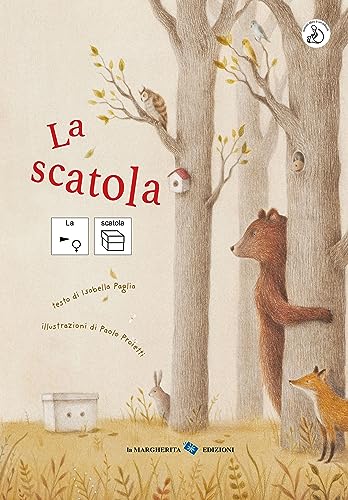 La scatola. InBook. Ediz. a colori (Libri illustrati)