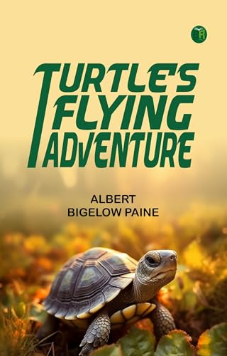 Mr. Turtle's Flying Adventure Mr. Turtle's Flying Adventure von Anson Street Press