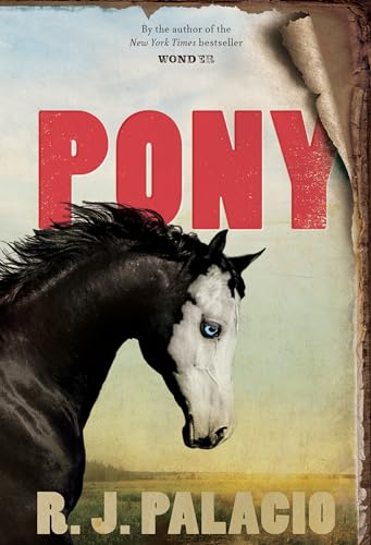 Pony von Knopf