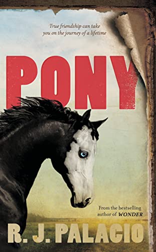 Pony: from the bestselling author of Wonder Pony: from the bestselling author of Wonder