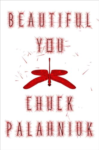 Beautiful You: A Novel Beautiful You: A Novel