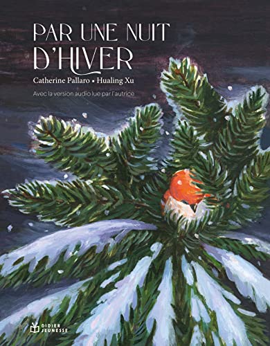 Par une nuit d'hiver von DIDIER JEUNESSE