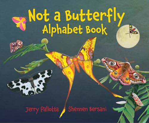 Not a Butterfly Alphabet Book: It's About Time Moths Had Their Own Book! von Charlesbridge