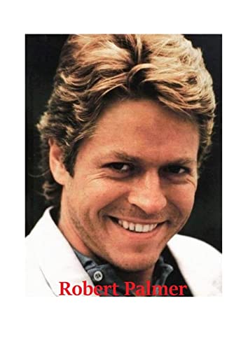 Robert Palmer: The Untold Story von Lulu.com