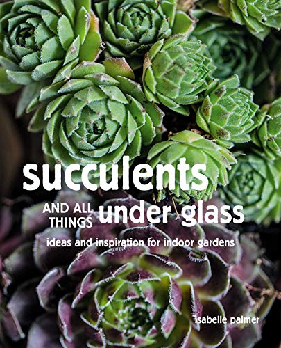 Succulents and All Things Under Glass: Ideas and Inspiration for Indoor Gardens von Cico