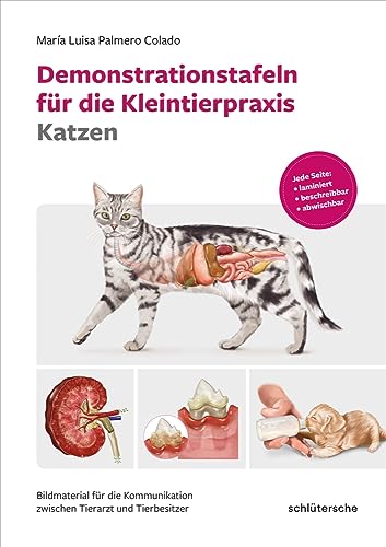 Demonstrationstafeln für die Kleintierpraxis Katzen: Bildmaterial für die Kommunikation zwischen Tierarzt und Tierbesitzer. Jede Seite: laminiert, beschreibbar, abwischbar von Schlütersche