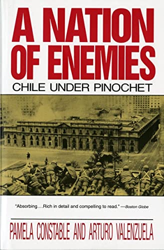 A Nation of Enemies: Chile Under Pinochet (Norton Paperback)