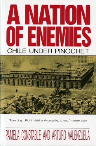 A Nation of Enemies: Chile Under Pinochet (Norton Paperback)