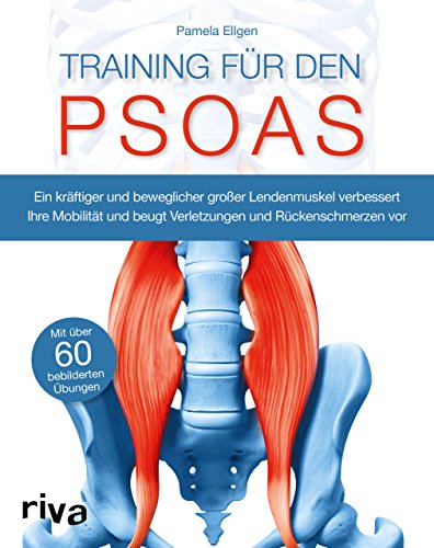 Training für den Psoas: Ein kräftiger und beweglicher großer Lendenmuskel verbessert Ihre Mobilität und beugt Verletzungen und Rückenschmerzen vor Training für den Psoas: Ein kräftiger und beweglicher großer Lendenmuskel verbessert Ihre Mobilität und beugt Verletzungen und Rückenschmerzen vor von RIVA