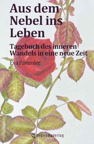 Aus dem Nebel ins Leben: Tagebuch des inneren Wandels in eine neue Zeit von Rediroma-Verlag