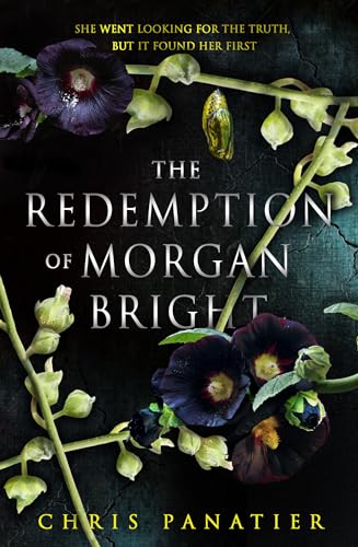 The Redemption of Morgan Bright von Angry Robot