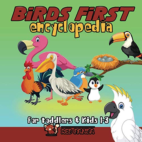 Birds First Encyclopedia For Toddlers & Kids 1-3: Bird Book For Children Boys, Girls, Babies; Funny First Birthday Gift Idea 1st Babyshower, 2-4 3-5 6 Years