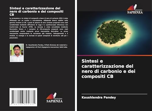 Sintesi e caratterizzazione del nero di carbonio e dei compositi CB von Edizioni Sapienza