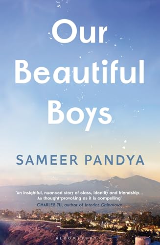 Our Beautiful Boys von Bloomsbury Publishing