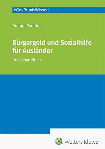 Bürgergeld und Sozialhilfe für Ausländer: Praxishandbuch (eGovPraxisWissen)