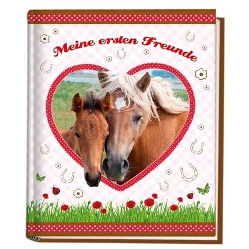 Pferde Kindergartenfreundebuch: Meine ersten Freunde