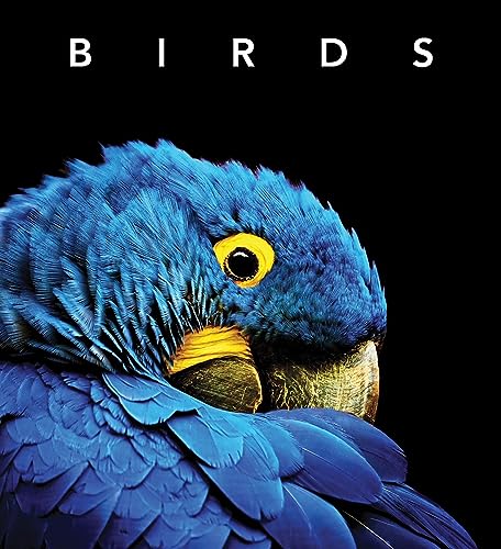 Birds: Deluxe Series von New Holland Publishers
