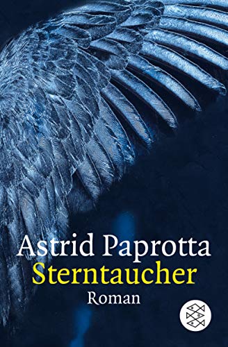 Sterntaucher: Roman