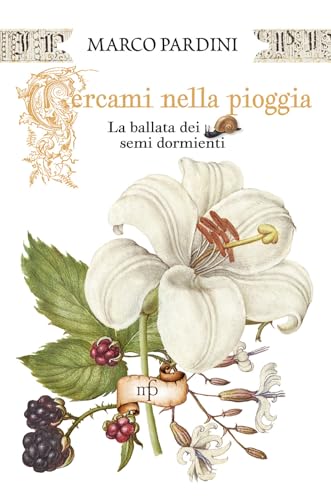 Cercami nella pioggia. La ballata dei semi dormienti von Maria Pacini Fazzi Editore