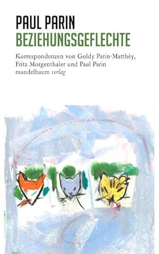 Beziehungsgeflechte: Korrespondenzen von Goldy Parin-Matthey, Fritz Morgenthaler und Paul Parin (Paul Parin Werkausgabe)