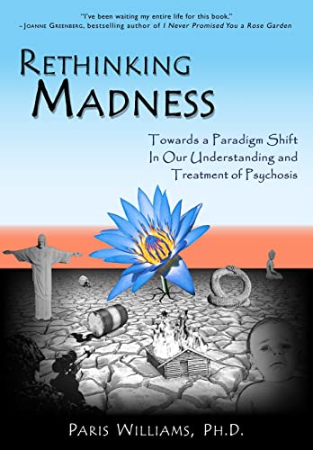Rethinking Madness: Towards a Paradigm Shift in our Understanding and Treatment of Psychosis von Sky's Edge Publishing
