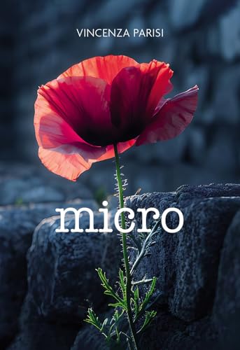 Micro Micro von Passione Scrittore selfpublishing