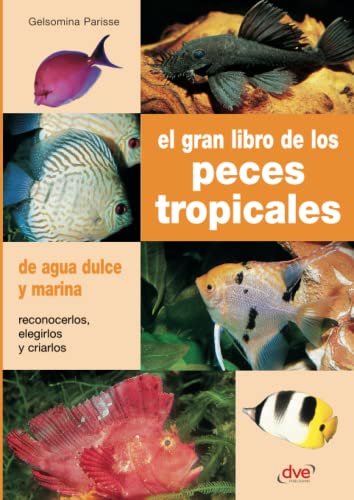 EL GRAN LIBRO DE LOS PECES TROPICALES von De Vecchi Ediciones