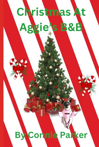 Christmas At Aggie's B&B (Coconut Cove Series, Band 3) von Independently published