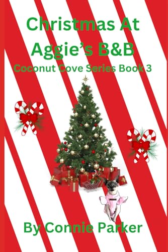 Christmas At Aggie's B&B (Coconut Cove Series, Band 3) von Independently published