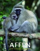 Affen Affen