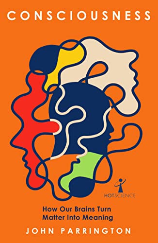 Consciousness: How Our Brains Turn Matter into Meaning von Icon Books