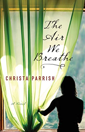 The Air We Breathe von Bethany House Publishers