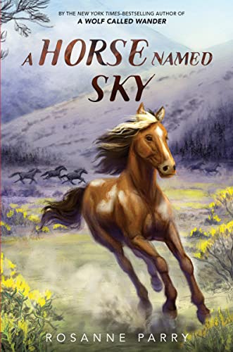 A Horse Named Sky: A Realistic Historical Fiction about the Pony Express (A Voice of the Wilderness Novel) von Greenwillow Books
