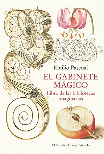 El gabinete mágico: Libro de las bibliotecas imaginarias (El Ojo del Tiempo, Band 141) von SIRUELA