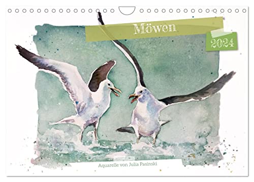 Möwen - Aquarelle von Julia Pasinski (Wandkalender 2024 DIN A4 quer), CALVENDO Monatskalender von CALVENDO