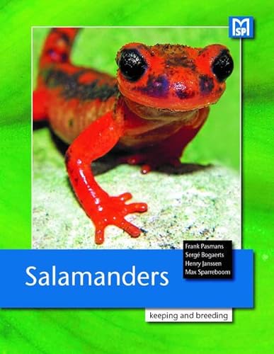 Salamanders: breeding and keeping