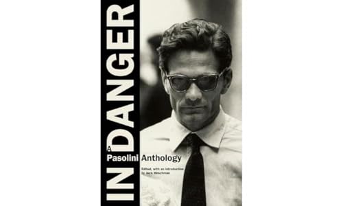 In Danger: A Pasolini Anthology von City Lights Publishers