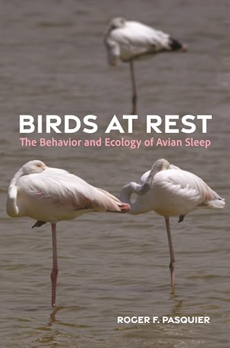 Birds at Rest: The Behavior and Ecology of Avian Sleep von Princeton University Press