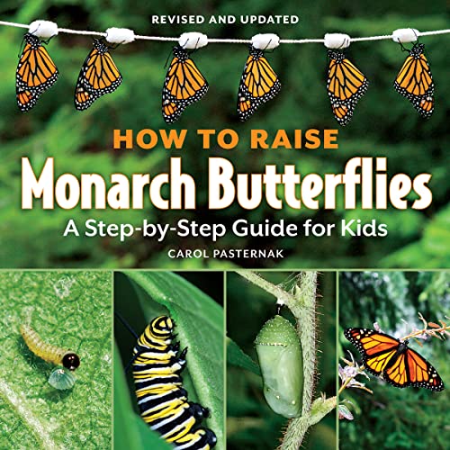 How to Raise Monarch Butterflies: A Step-by-Step Guide for Kids von Firefly Books