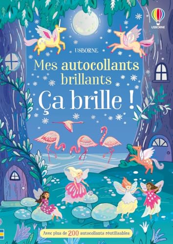 Ca brille ! - Livre d'autocollants